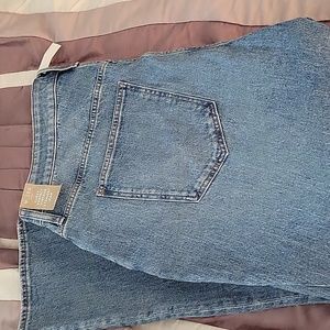 Madewell The Plus Curvy Perfect Vintage Straight Jean in Hoye Wash